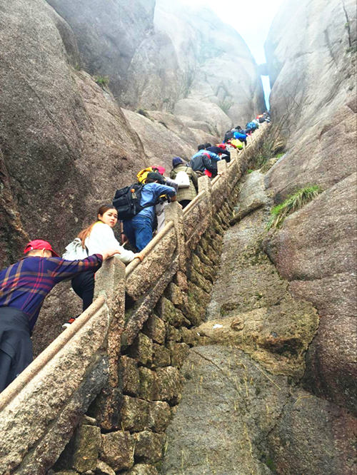 定制家具哪個品牌團(tuán)隊好